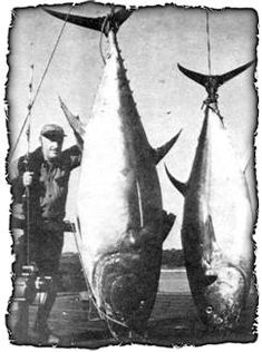 Details about   26/0 Big Game hooks Forged Hi Carbon Tinned 5 pack Shark Swordfish Bluefin Tuna 