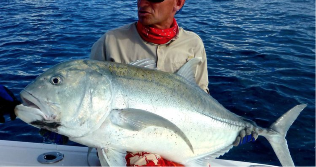 Seychellen 13 Bluewaterfishing Eu