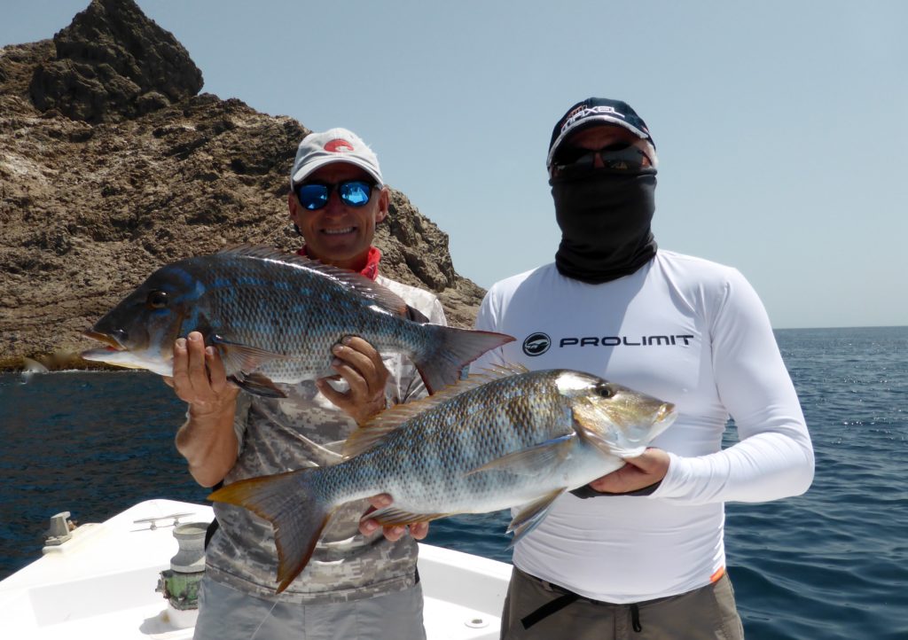 Truck Fishing In Oman