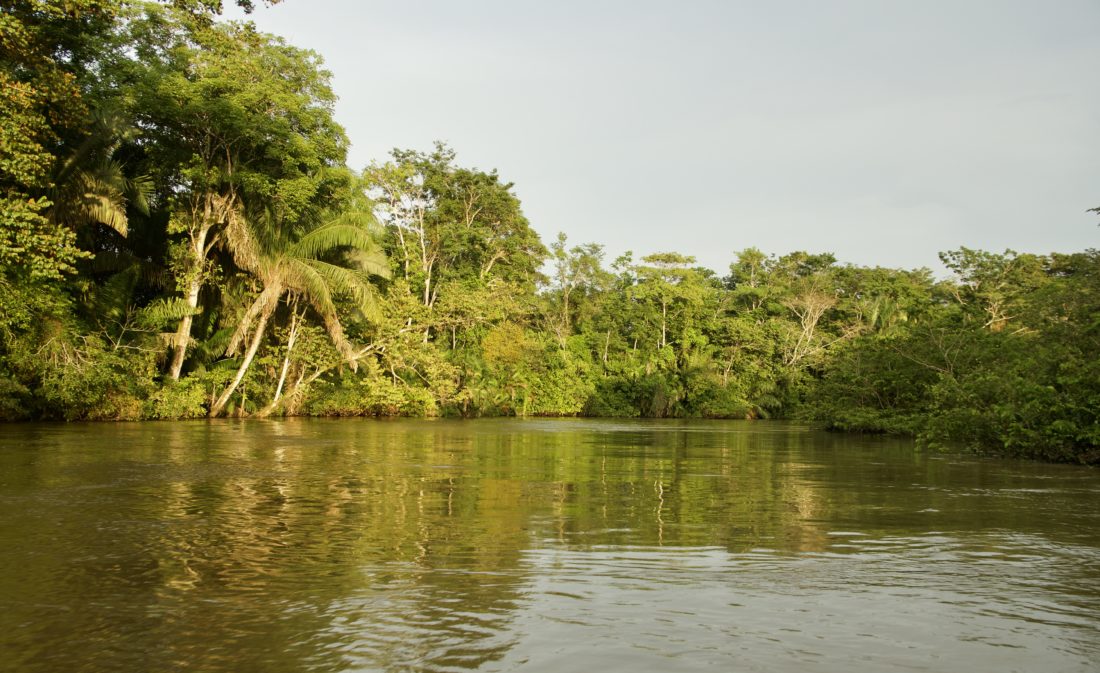 Costa Rica BWF BluewaterFishing.eu